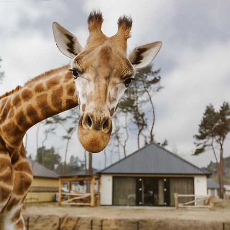 Safari Resort Beekse Bergen Hilvarenbeek Eksteriør billede