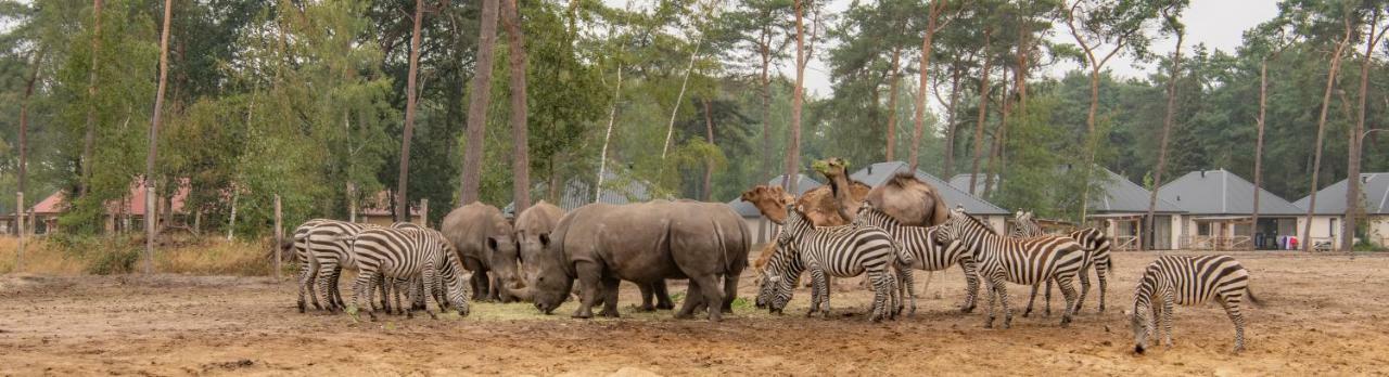 Safari Resort Beekse Bergen Hilvarenbeek Eksteriør billede