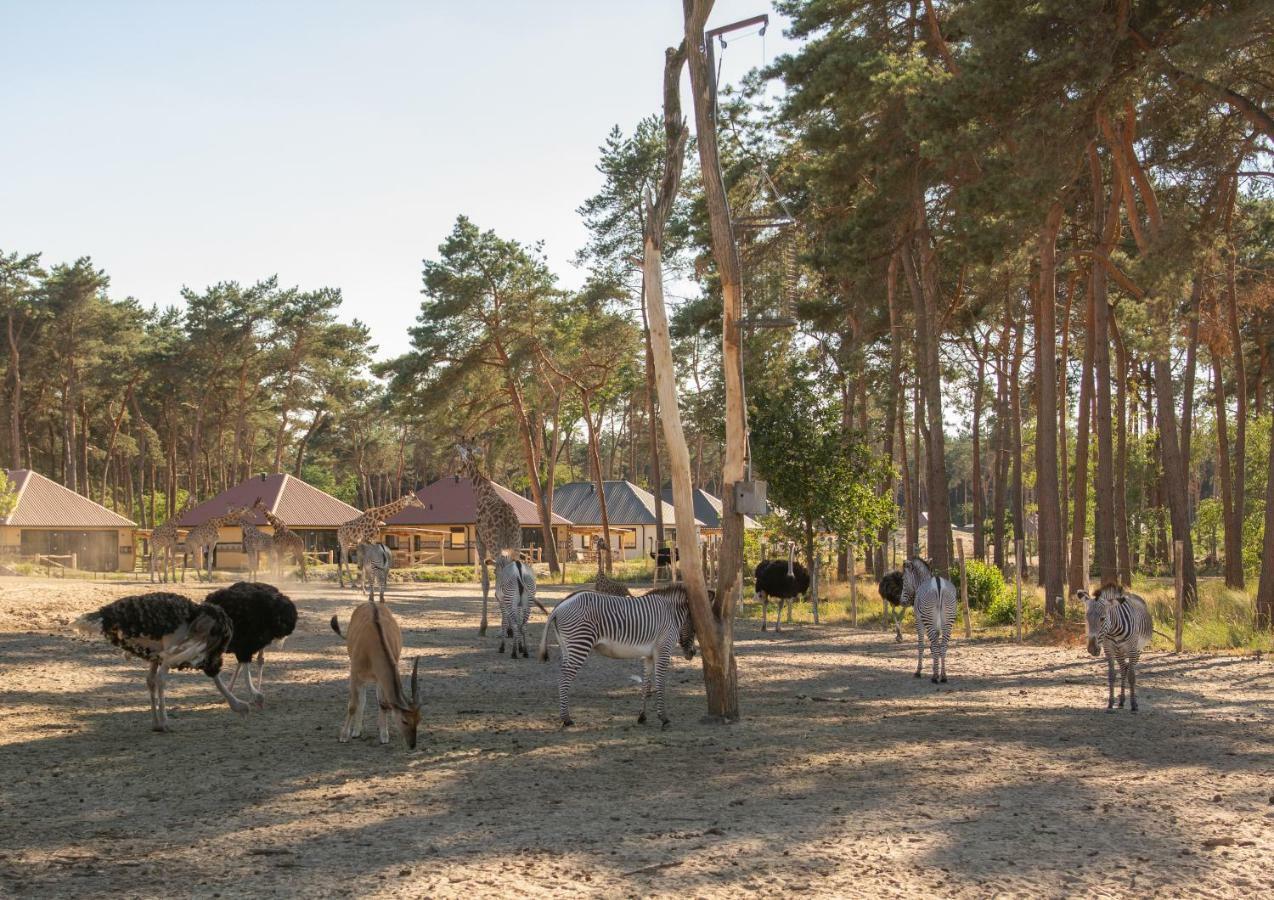 Safari Resort Beekse Bergen Hilvarenbeek Eksteriør billede
