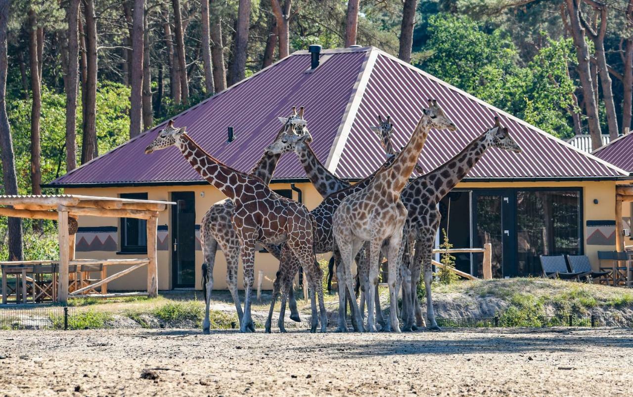 Safari Resort Beekse Bergen Hilvarenbeek Eksteriør billede
