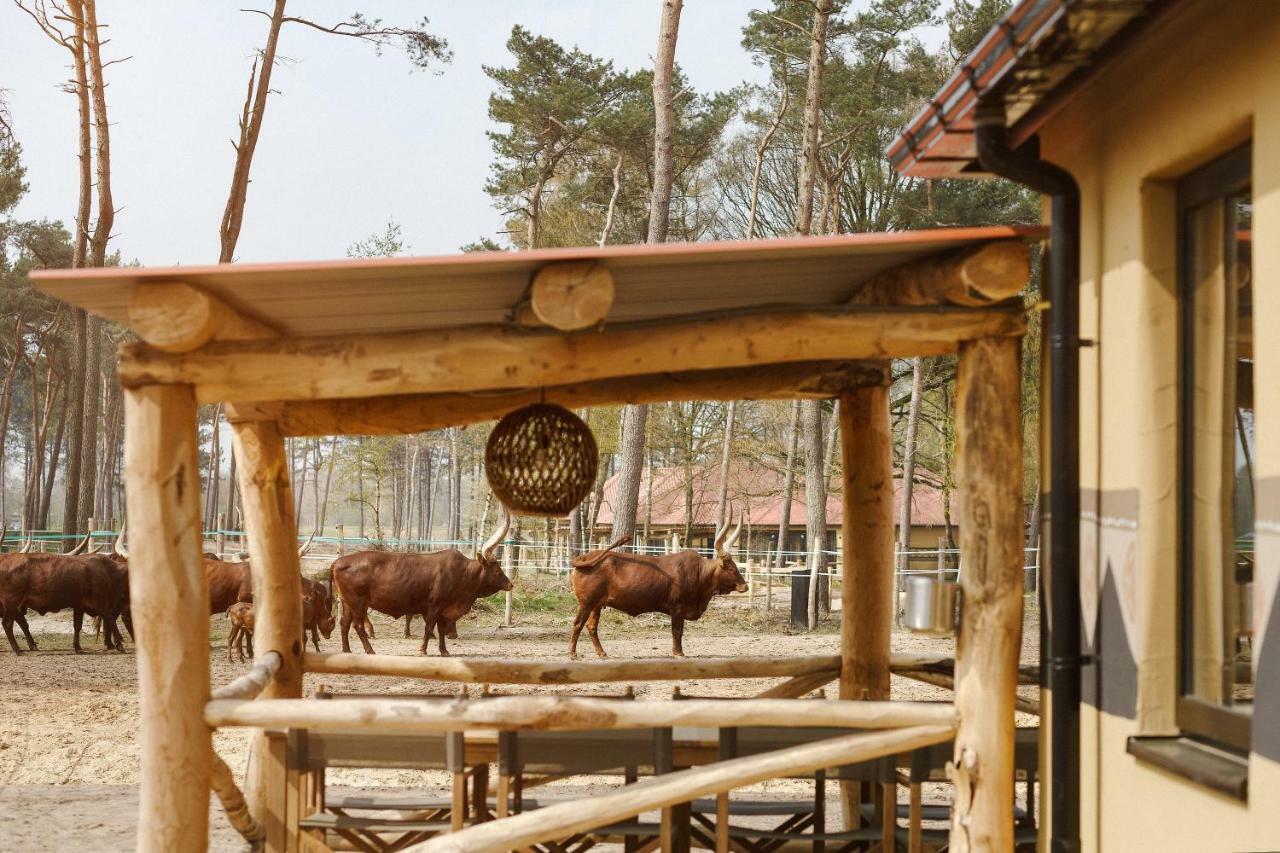 Safari Resort Beekse Bergen Hilvarenbeek Eksteriør billede
