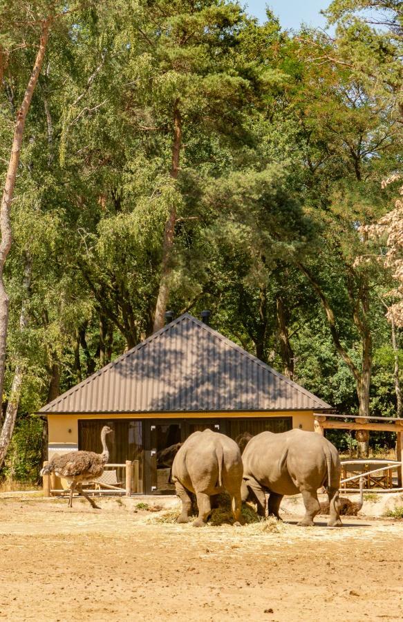 Safari Resort Beekse Bergen Hilvarenbeek Eksteriør billede