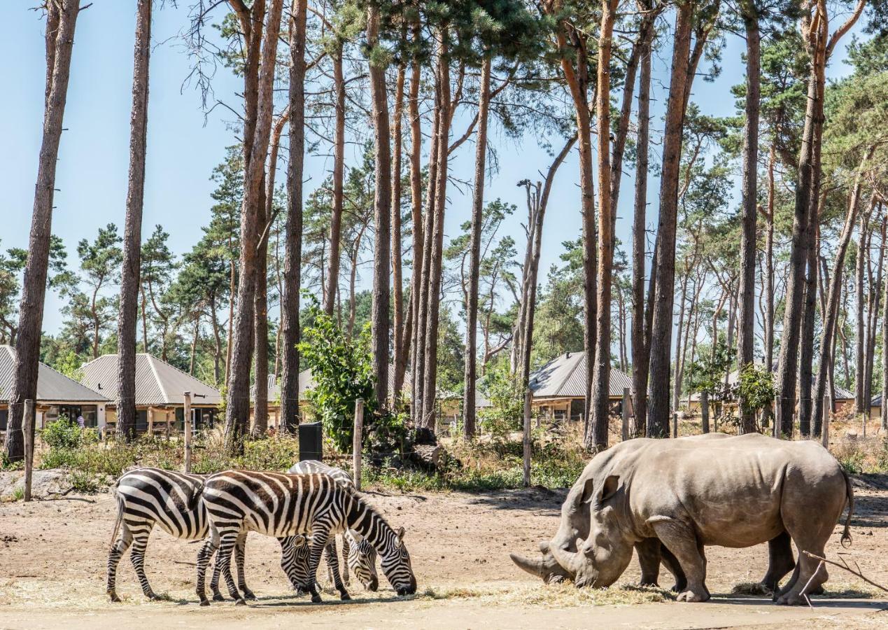 Safari Resort Beekse Bergen Hilvarenbeek Eksteriør billede